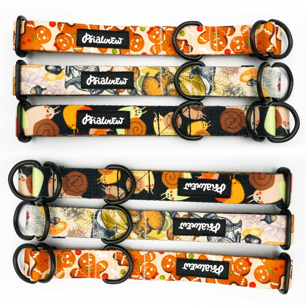 Obroża półzaciskowa Forest Treasures 2,5 cm, dla średnich i większych psów, czarne okucia