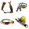 ACCESSORY KIT. Small dog. Geo Snake Psiakrew Series; Collar, Harness, Leash, Pouch