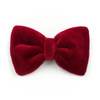 Velvet claret bow tie for a dog an elegant ornament for special occasions, attached to the collar