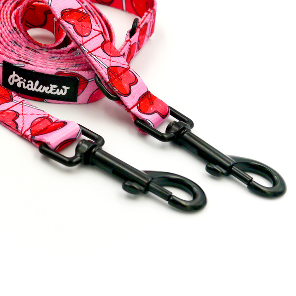 Long Dog Leash Lollipops Psiakrew width 2 cm (0.78"), black snap hook 7 cm (3,15")