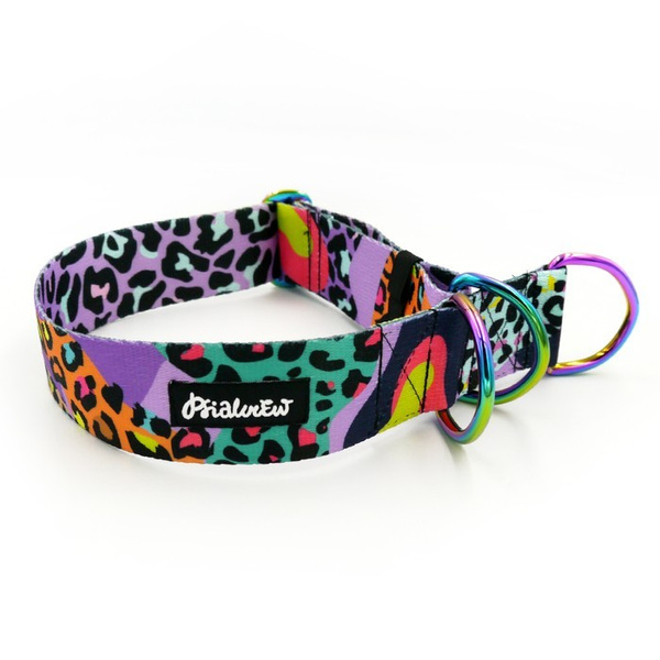 Obroża półzaciskowa Crazy Leopard Psiakrew 4 cm, dla dużych psów, holo okucia