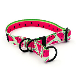 Half-choke collar Watermelon, 2 cm wide, for small dogs, black extras