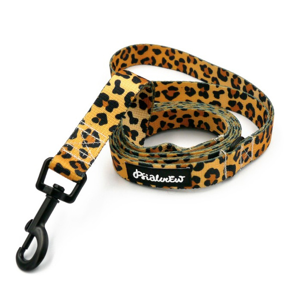 Stadt-Hundeleine Tarzan Psiakrew, Breite 2 cm, schwarzer Karabiner 6 cm