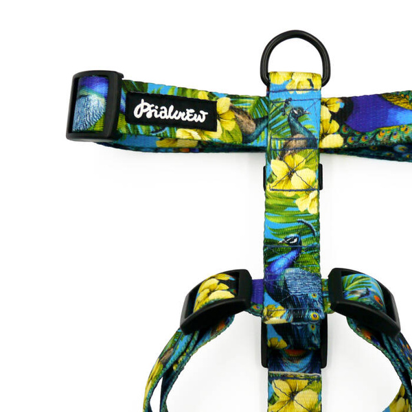 Szelki dla Psa Guard Pawie Oczko Psiakrew, taśma 2,5 cm, okucia czarne