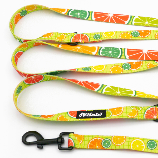 Long Dog Leash Lemonade Psiakrew width 2 cm (0.78"), black snap hook 7 cm (3,15")