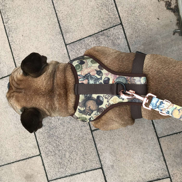 Dog Harness Forest Treasures, Always Feeling Cool, Super Soft Psiakrew