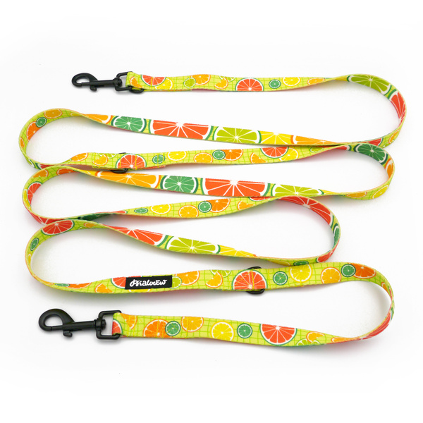 Hundeleine, lang, abnehmbar, verstellbar Lemonade Psiakrew, Breite 2 cm, Karabiner schwarz 7 cm