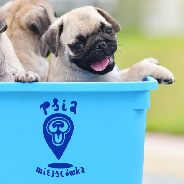 Naklejka na ścianę Psia Miejscówka - Point, naklejki z psem informacyjne dekoracyjne Psiakrew