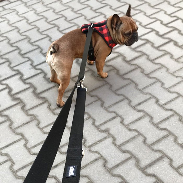 Dog Harness Lumberjack, Always Feeling Cool, Super Soft Psiakrew