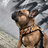 Dog Harness Tiger, Animal print, Always Feeling Cool, Super Soft Psiakrew 