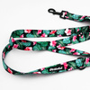 Dog Leash Tropical Monstera width 2.5 cm, 1"  wide, black snap hook 6 cm