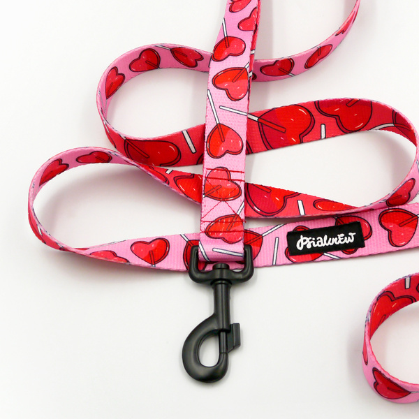 Hundeleine Lollipops Psiakrew Breite 2,5 cm, 1" breit, kräftiger schwarzer Karabiner 8cm