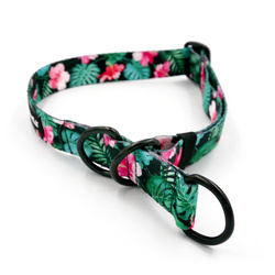 Half-choke collar Tropical Monstera, 2.5 cm wide, medium and big dogs, black extras