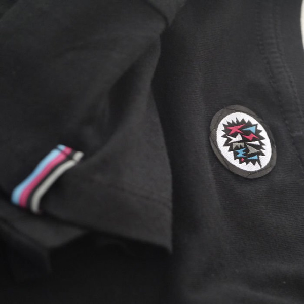 T-shirt Bull Terrier Evolution Psiakrew