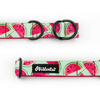 Half-choke collar Watermelon, 2.5 cm wide, medium and big dogs, black extras