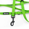 Long Lime Dog Leash width 2 cm (0.78") wide; black snap hook 7 cm