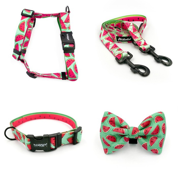 ZUBEHÖRSATZ. Großer Hund. Watermelon Psiakrew-Serie; Halsband, Geschirr, Leine, Fliege