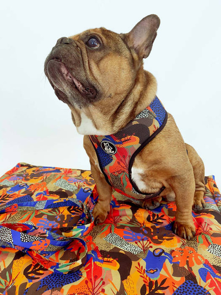 Hundedecke Buntes Dickicht Psiakrew - matt, Minky Fleece Plaid