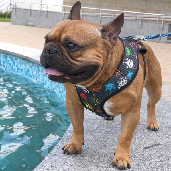 Dog Harness Invaders Psiakrew, Always Feeling Cool, Super Soft