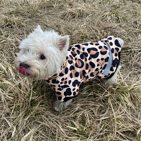 Bluza dla Psa z kapturem Leopard