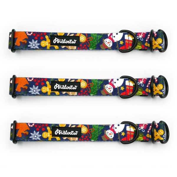 Half-choke collar Winter is Coming Psiakrew, 2.5 cm wide, medium and big dogs, black extras