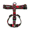 Hundegeschirr, Tartan Psiakrew, mittlere und größere Hunde, 2,5 cm Gurtband, schwarze Beschläge