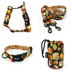 ZESTAW AKCESORIÓW. Pies średni. Rodzinka Ślimaków Psiakrew; Obroża, Szelki, Smycz, Saszetka