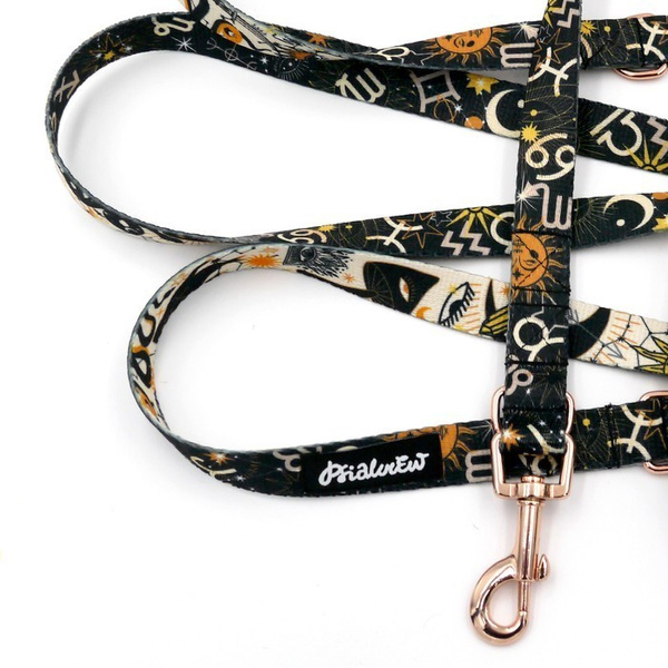 Long Dog Leash Zodiak width 2 cm (0.78") wide, rose gold snap hook 6 cm