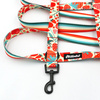 Dog Leash Fruit Jelly Psiakrew width 2.5 cm, 1"  wide, snap hook black 6cm