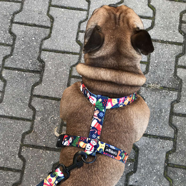 Harness for Dog, Model Winter is coming Guard Harness, for medium dogs, black extras