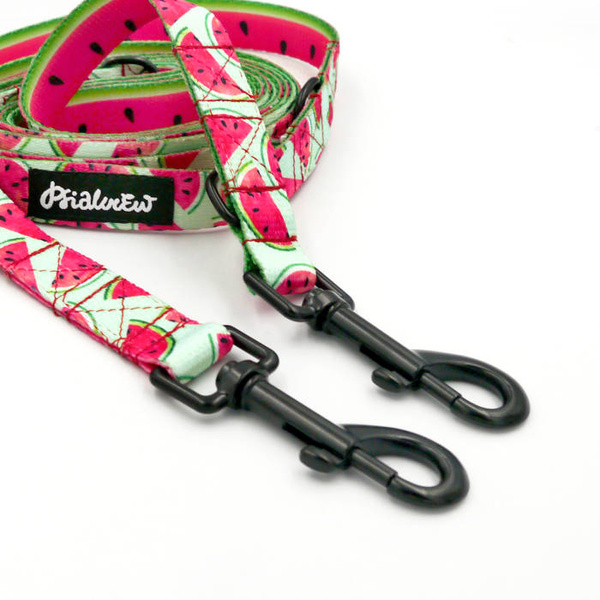 Dog Leash Watermelon width 2 cm wide, black snap hook 7 cm