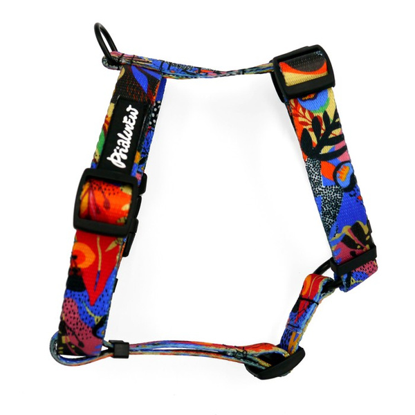 Małe Szelki dla Psa Guard Kolorowy Gąszcz dla mniejszych psów, taśma 2 cm, czarne okucia