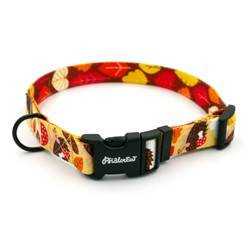 Dog Collar Psiakrew Hedgehog Dreamer, 2 cm 0.78"  wide, for smaller dogs black extras