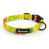 Adjustable Dog Collar with Snap Buckle Lemonade Psiakrew 2.5 cm, Black Fittings