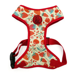 Dog Harness Fruit Jelly Psiakrew, Always Feeling Cool, Super Soft