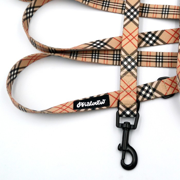 Hundeleine Dogberry Psiakrew Breite 2 cm, schwarzer Karabinerhaken 6 cm