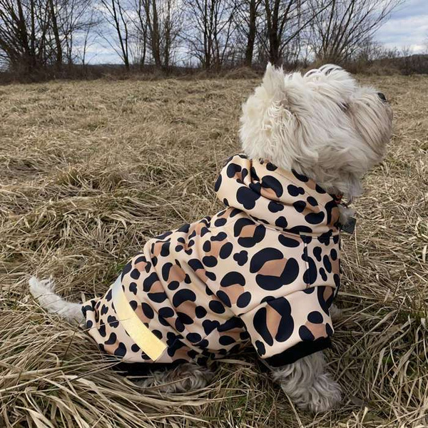 Bluza dla Psa z kapturem Leopard
