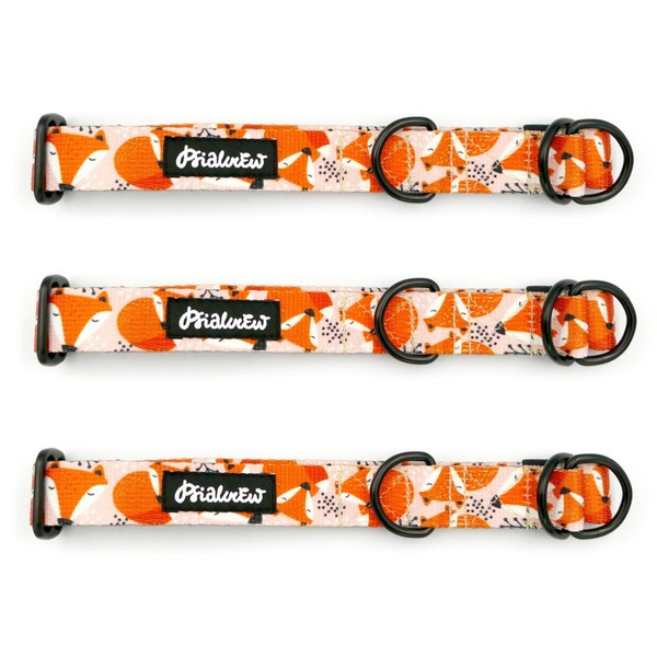 Half-choke collar Foxy Lady, 2.5 cm wide, medium and big dogs, black extras