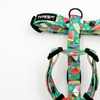 Harness for Dog, Model Ice Ice Baby Guard Harness Small Harness for small dogs, puppies, black extras