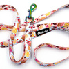 Dog Leash Hot Sweetness width 2 cm 0.78 ", holo snap hook 7 cm