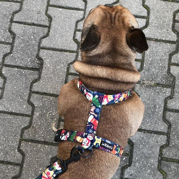 Long Dog Leash Winter is coming width 2.5 cm, 1"  wide, snap hook black 8 cm