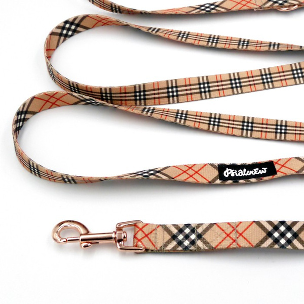 Hundeleine Dogberry Psiakrew Breite 2 cm, Roségold Karabinerhaken 6 cm