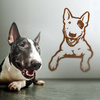 Naklejka na ścianę Pies - Bull Terrier Smile - dekoracja ścienna do pokoju dziecięcego