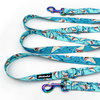 Dog Leash Sharks width 2.5 cm, 1"  wide, holo snap hook 8cm