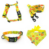 ACCESSORY KIT. Small dog. Lemonade Psiakrew Series; Collar, Harness, Leash, Bandana