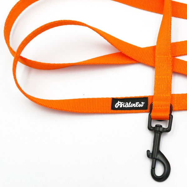 Long Orange Dog Leash width 2 cm (0.78") wide; black snap hook 7 cm