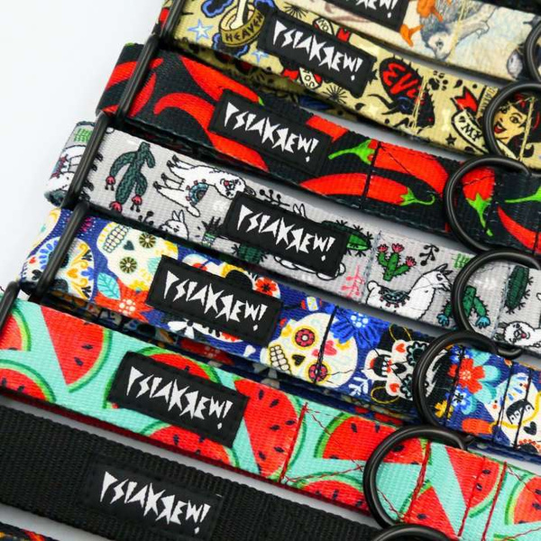 Half-choke collar Jurassic Bark, 2.5 cm wide, medium and big dogs, black extras