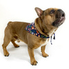 Premium Dog Bandana Winter is coming handkerchief style to tie around your pet’s neck