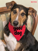 Bandana dla psa GOOD DOG Psiakrew, personalizowana wiązana chusteczka, czerwona bandana apaszka 