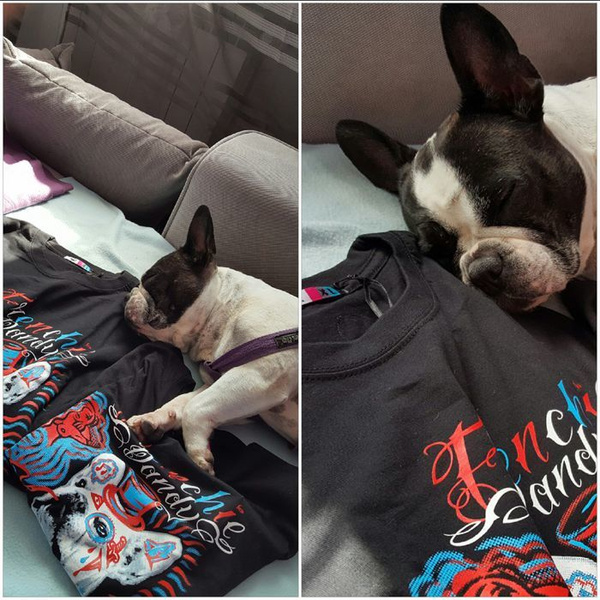 T-shirt Frenchie Dandy French Bulldog, men's t-shirt Psiakrew
